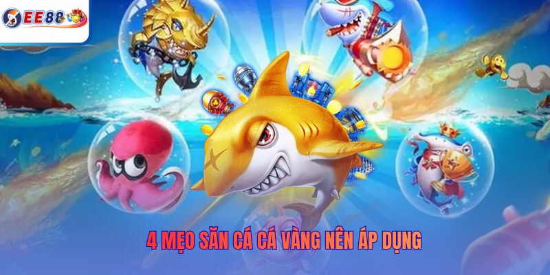 4 mẹo săn cá mập vàng nên áp dụng